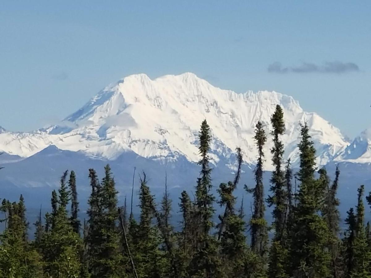 Denali Wild Stay - Redfox Cabin, Free Wifi, Private, Sleep 6 Healy Exterior foto